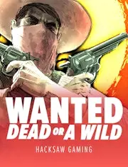 Wanted Dead Or a Wild